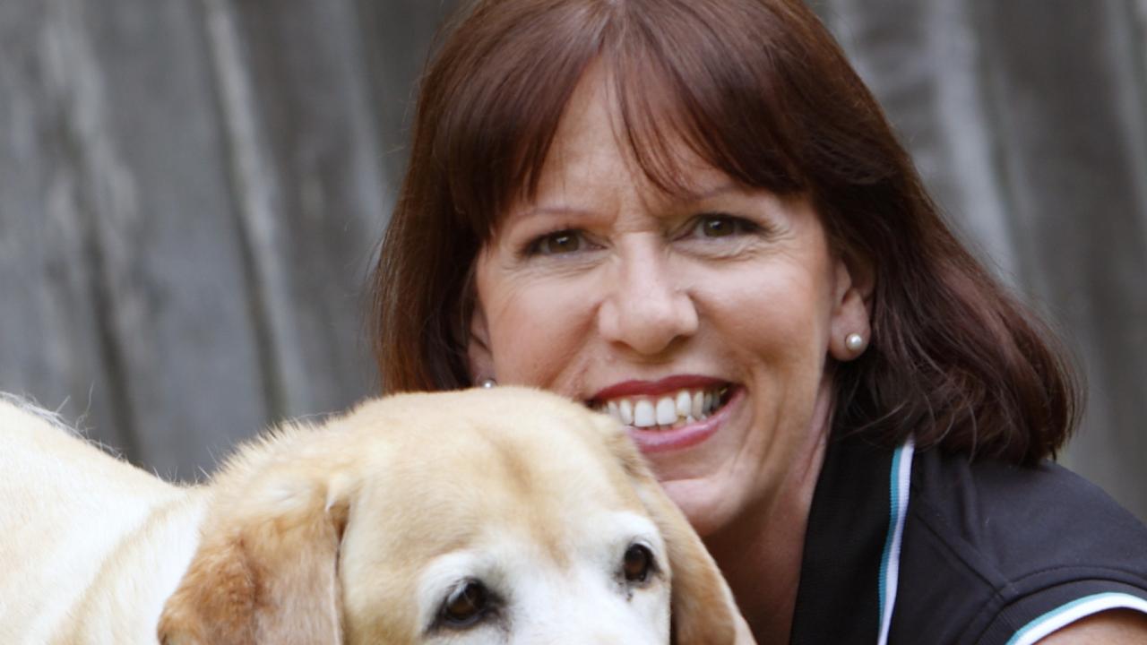 Pet sitting and dog walking pays for Aussie animal lovers | The Courier ...