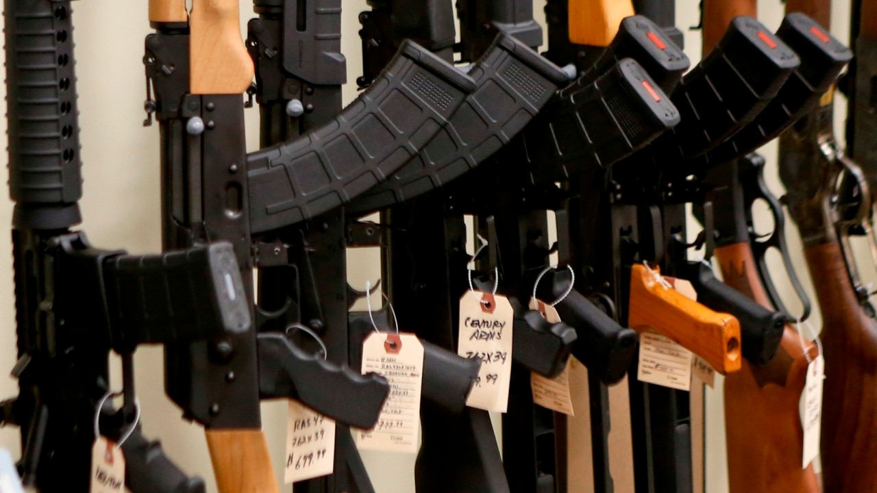 One Nation could unravel gun laws: Gun Control Australia