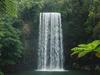 Two men killed at popular swimming spot