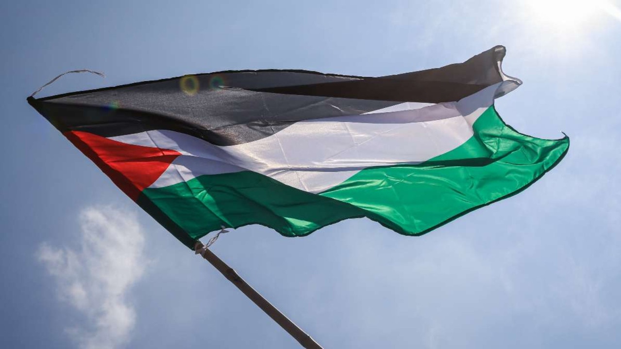 Randwick Council backflips on decision to fly Palestinian flag | The ...