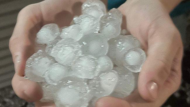 Hail stones which caused damage to crops near Horsham.