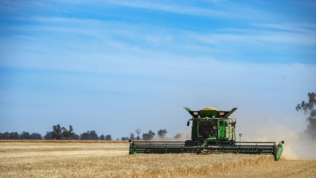 ABS data released last week has revealed impressive yields for wheat, barley and canola across the state. Picture: Zoe Phillips