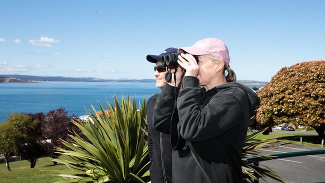 Sara and Konrad Blackman watching the whales in the River Derwent. Picture: Mireille Merlet