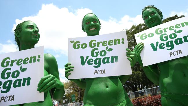 A PETA protest at the G20 Summit in Brisbane.