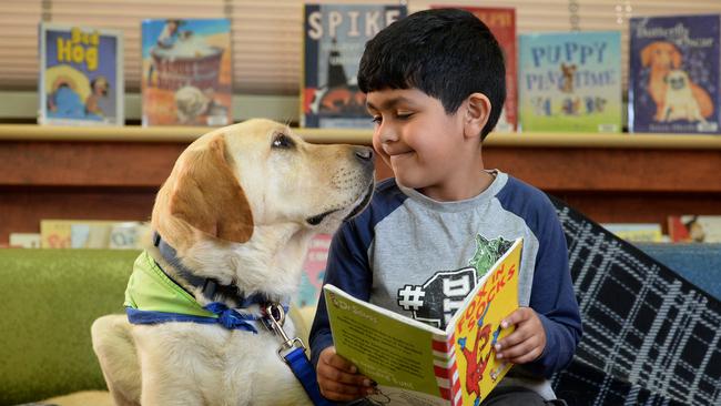 how dogs help kids read