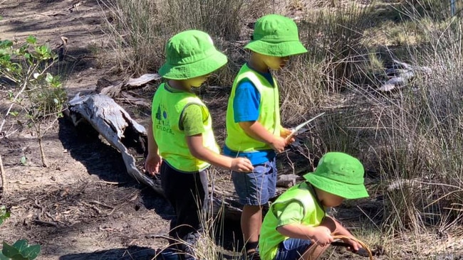 Bribie Island Community Kindergarten children explore the nature trail.