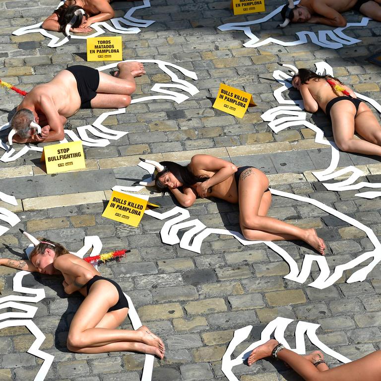 Semi-naked protesters make their point about animal cruelty Photo: Ander Gillenia