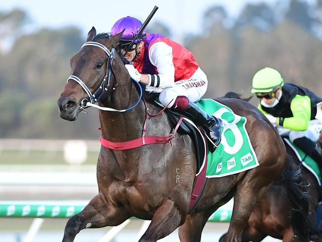 King Of Hastings and Taylor Marshall win the The TAB Glasshouse Hcp at the Sunshine Coast. Picture: Grant Peters-Trackside Photography