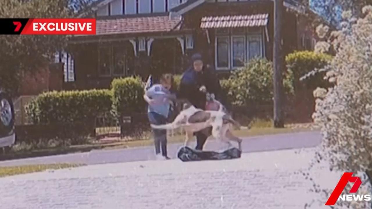 Her mother is concerned about why the dog was off leash on the street. Picture: 7 News