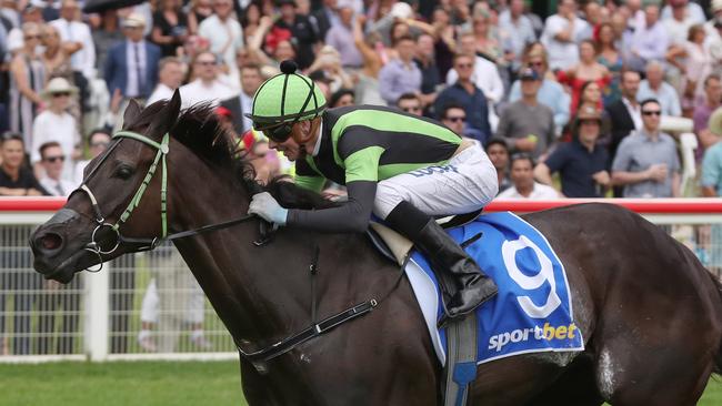 Our Big Mike won the 2018 Pakenham Cup and will chase another win in the race on Saturday. Photo: AAP Image/David Crosling.