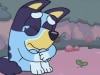 The top Bluey episodes that will make you cry