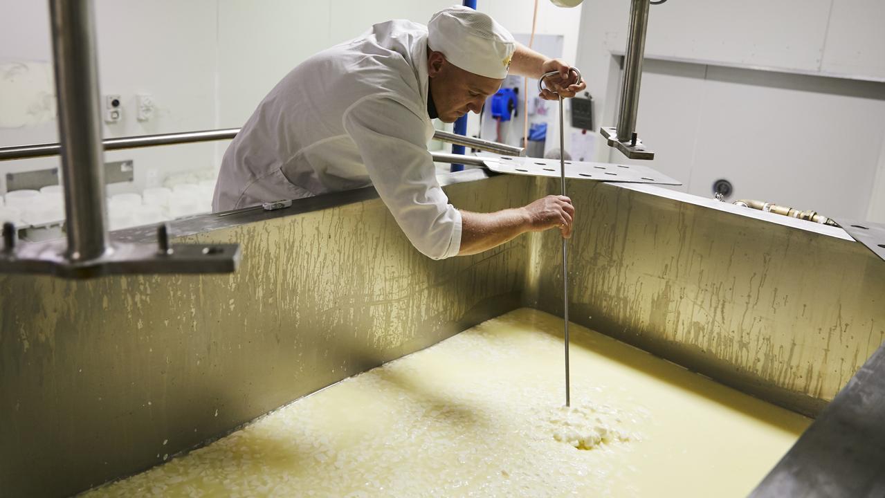 Cheesemaking at Hunter Belle Dairy Co. Picture: Alexander McIntyre
