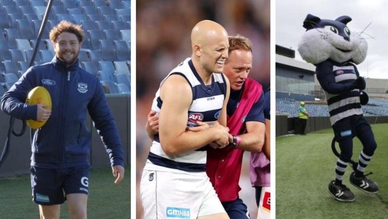 Jack Steven, Gary Ablett and Half-Cat featured in the top-ranked Geelong Cats stories of 2020.