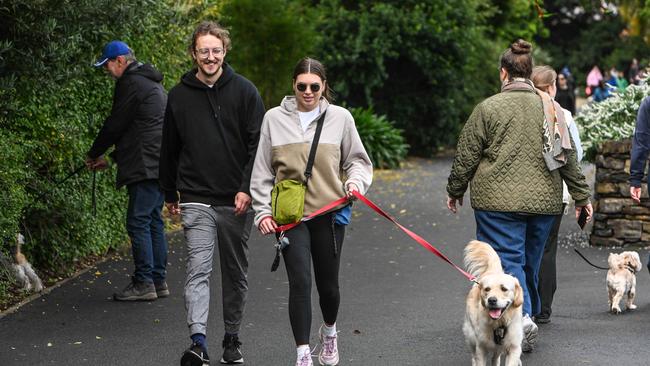 Million Paws Walk at Adelaide Botanic Gardens. Picture: Brenton Edwards