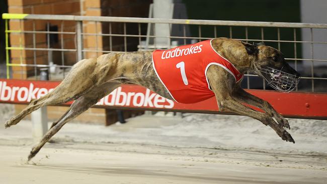 The future of the partnership between Ladbrokes and Greyhound Racing NSW is in doubt