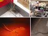 ‘House of poo’, cockroaches: Qld restaurants fined over food safety