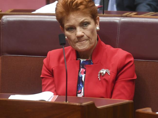 Pauline Hanson has done a deal to secure 1000 apprenticeships. Picture: AAP