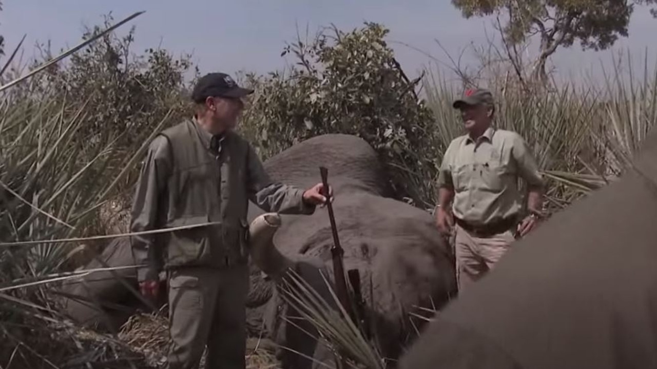 Mr LaPierre and his wife Susan killed two African elephants. Picture: The New Yorker/YouTube