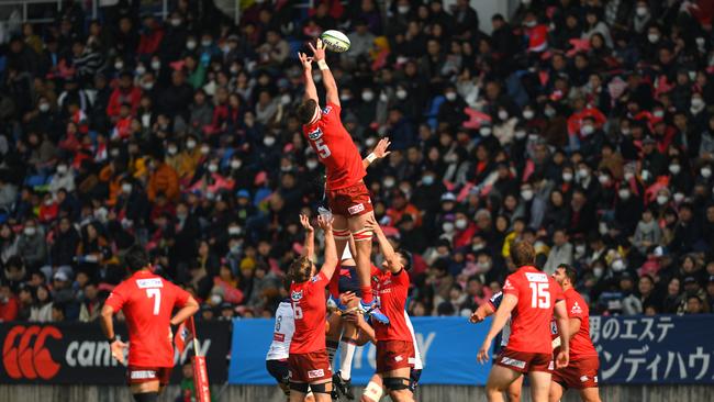 FUKUOKA, JAPAN - FEBRUARY 01: Michael Stolberg of the Sunwolves wins a line out during the Super Rugby match between Sunwolves and Rebels at Level Five Stadium on February 1, 2020 in Fukuoka, Japan. (Photo by Atsushi Tomura/Getty Images)