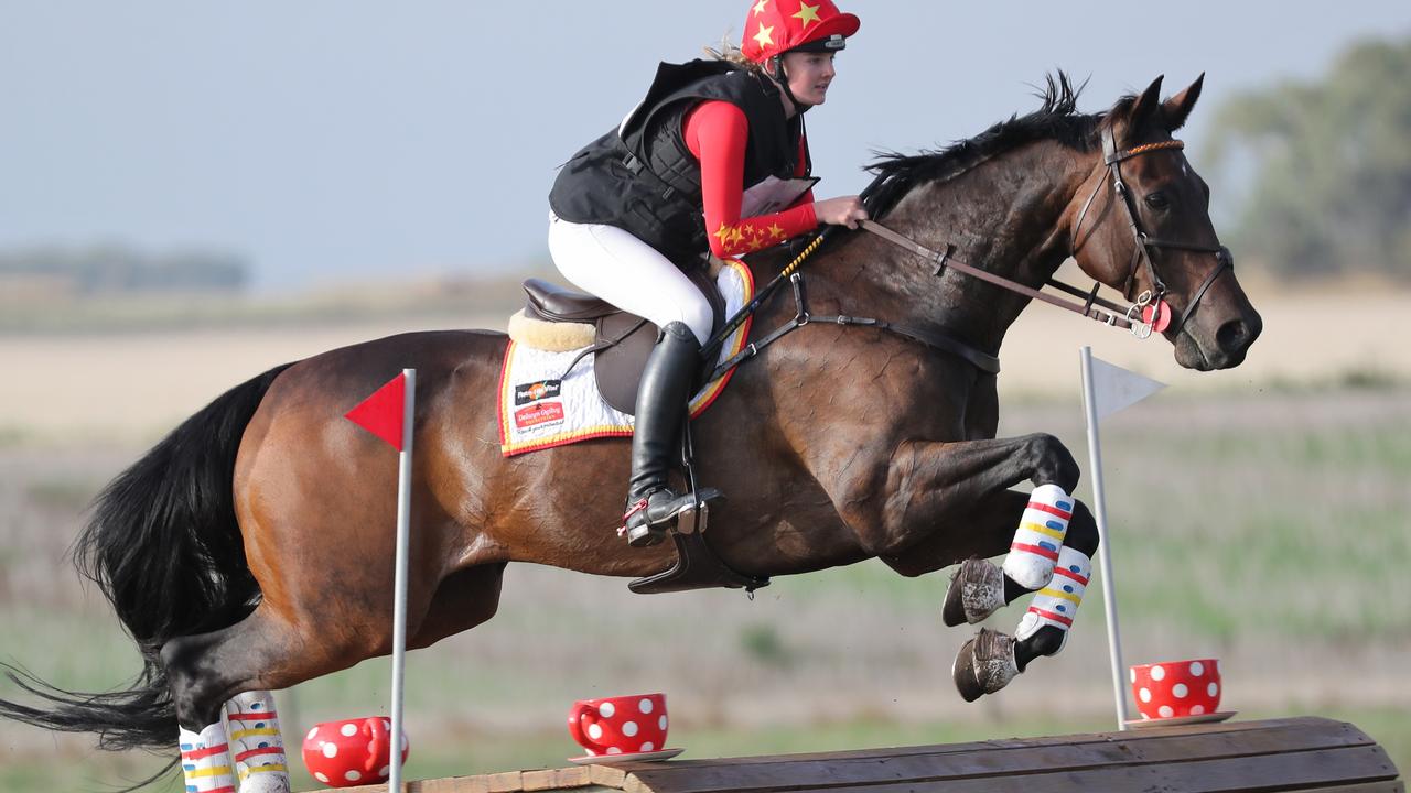 Geelong Horse Trials High entry numbers at Barwonleigh The Weekly Times