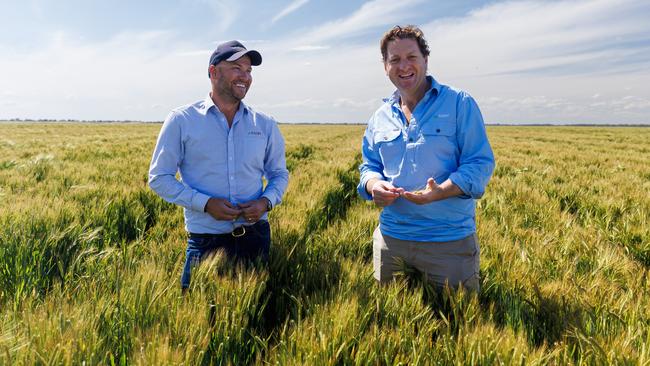 GO.FARM general manager of Lake Boga Tom Farmer (left) with GO.FARM managing director Liam Lenaghan in a barley crop at their Lake Boga property in northern Victoria. Picture: Aaron Francis