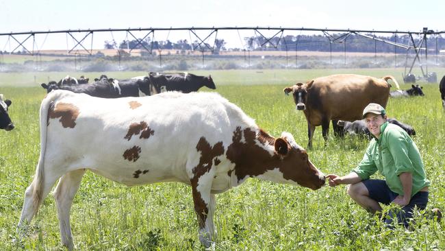 James Greenacre of Rosemount Agriculture at Cressy in Tasmania. Picture: Chris Kidd