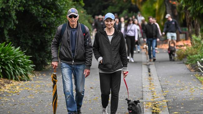 Million Paws Walk at Adelaide Botanic Gardens. Picture: Brenton Edwards