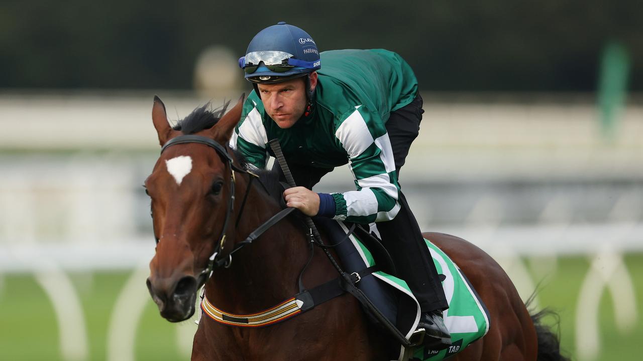 SYDNEY, AUSTRALIA - APRIL 09: Tommy Berry rides Place Du Carrousel during TAB Trackwork with the Stars at Royal Randwick Racecourse on April 09, 2024 in Sydney, Australia. (Photo by Mark Metcalfe/Getty Images)