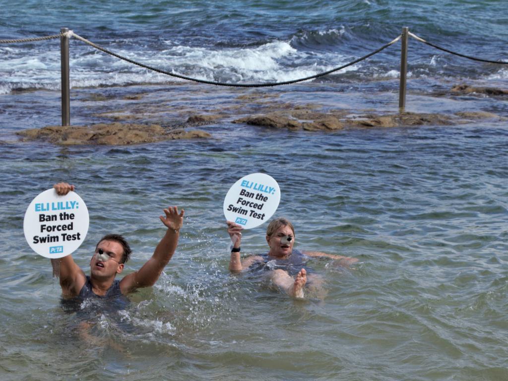 Protesters at Bondi Beach on Wednesday. Picture: PETA