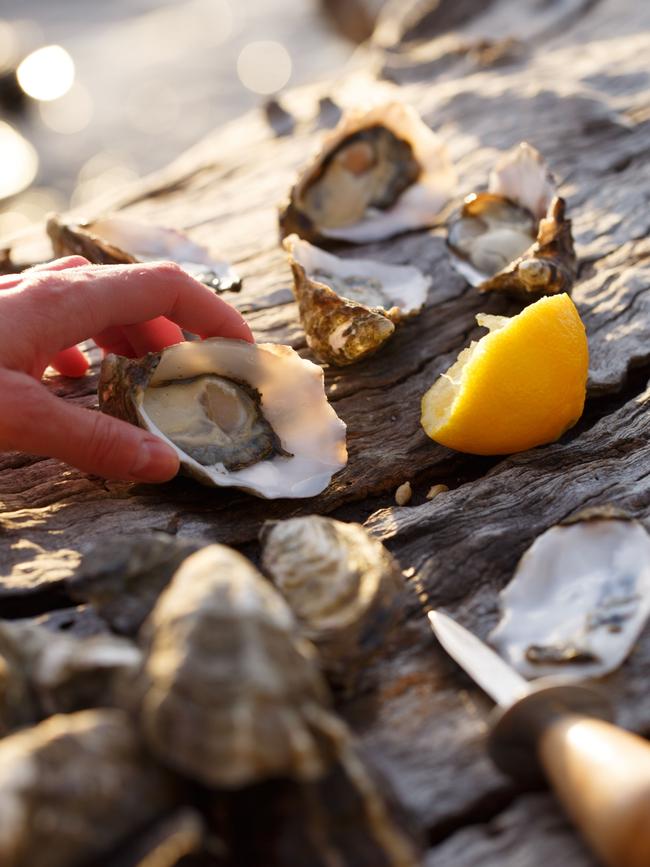 Fresh oysters on the trail.