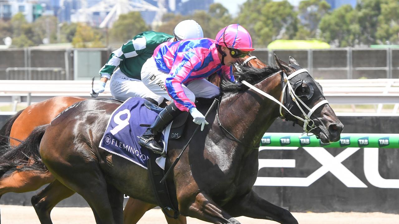 Promising stayer brings up his maiden win at Flemington for owner Kerry Good. Picture: Brett Holburt/Racing Photos via Getty Images