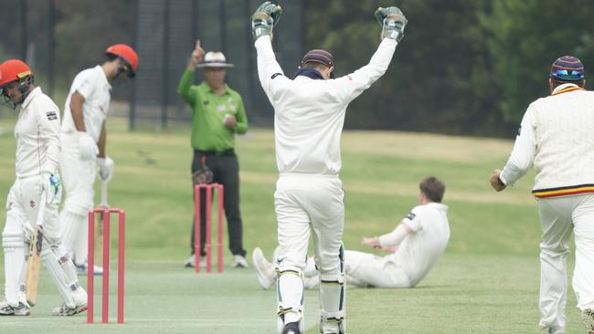 Old Peninsula bowler Will Forrest takes a return catch to dismiss Sorrento’s Patrick Hall on Saturday. Picture: Valeriu Campan