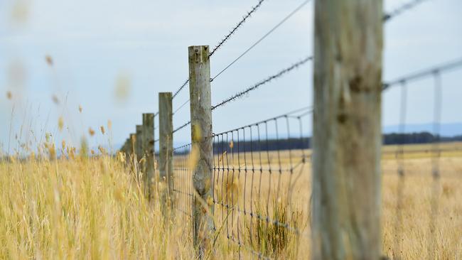 FARM: 90 Mile Biodynamic Steve Ronaldson runs 90 Mile Biodynamic cattle and sheep at Woodside Beach. Pictured: Generic farm. Fence. Fencing. Ringlock and barbed wire. PICTURE: ZOE PHILLIPS