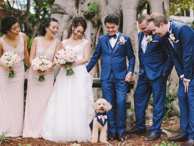 The bridal party were distracted by this adorable cavoodle at Celia Lee and George Hsu's Manly wedding. Picture: Jenny Sun