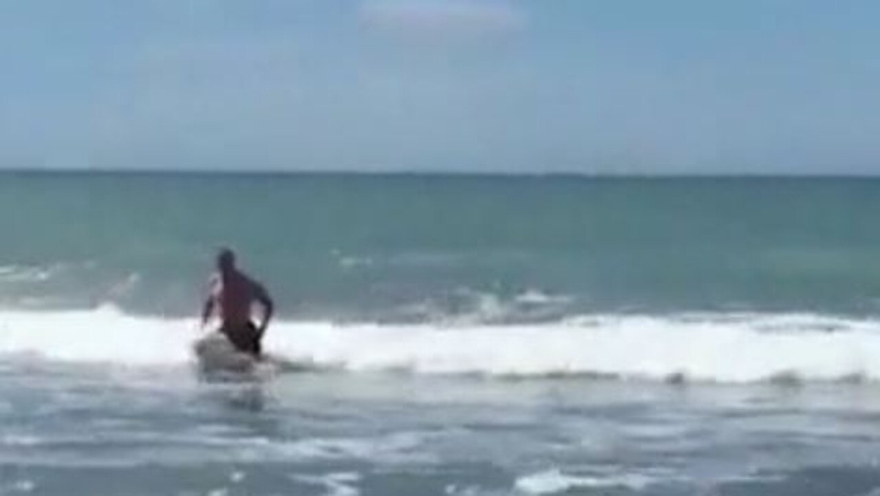 Onlookers believed the two fins they spotted in the water belonged to two sharks.