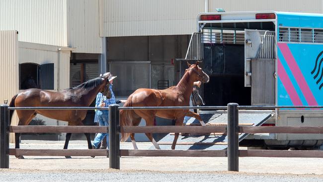 A float from the Ciaron Maher stables takes horses away from Darren Weir’s Miners Rest stables. Picture: Jay Town