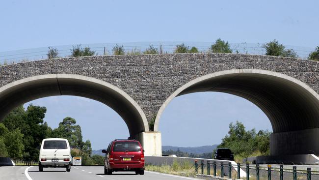 Fauna overpass area on the Pacific Highway. Pic David Clark.