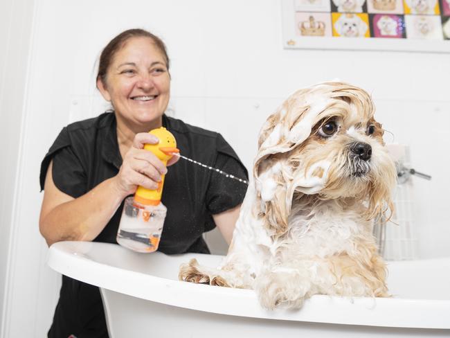 Meet the dog groomer who wants the best for your four-legged friend