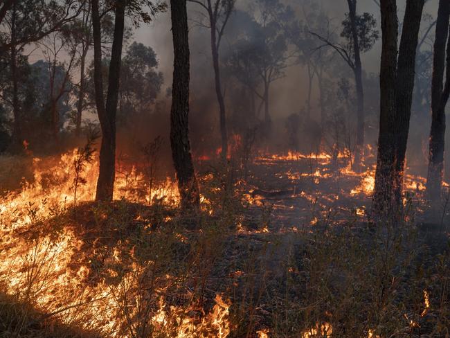 Firefighters at work battling the bushfires at Yanchep, Western Australia, 14-12-2019. Picture: Supplied by DFES - Department of Fire and Emergency Services Incident Photographer Evan Collis