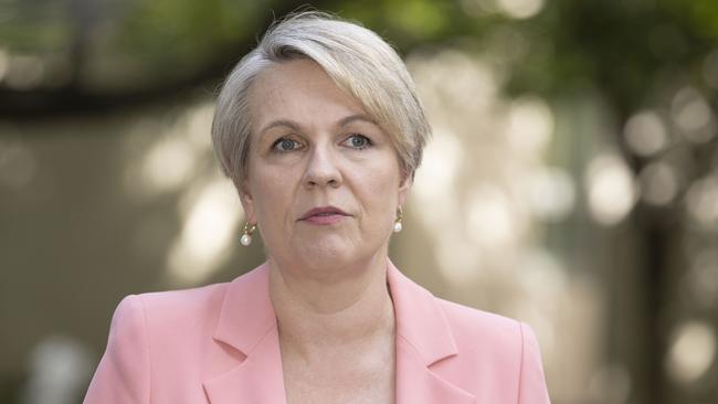 Environment MInister Tanya Plibersek. Picture: NCA NewsWire / Gary Ramage