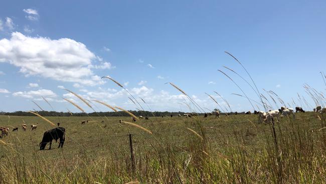 Redland Bay’s Shoreline development will turn farmland into residential lots. Picture: Paula Shearer