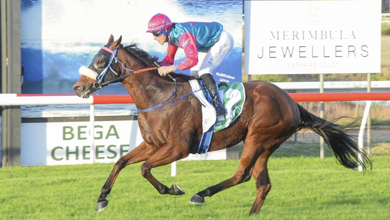 King Charles is looking to add to his impressive record at the Sapphire Coast. Picture: Bradley Photos