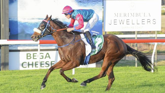 King Charles is looking to add to his impressive record at the Sapphire Coast. Picture: Bradley Photos