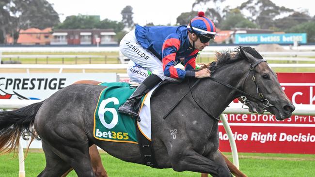 Miss Tallchief will appreciated a step back in class and a drop in weight at Stony Creek on Tuesday. Picture: Reg Ryan / Racing Photos