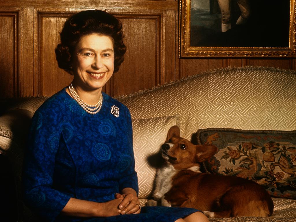 Britain's Queen Elizabeth II smiles during a picture-taking session in the salon at Sandringham House while her pet dog looks up at her.