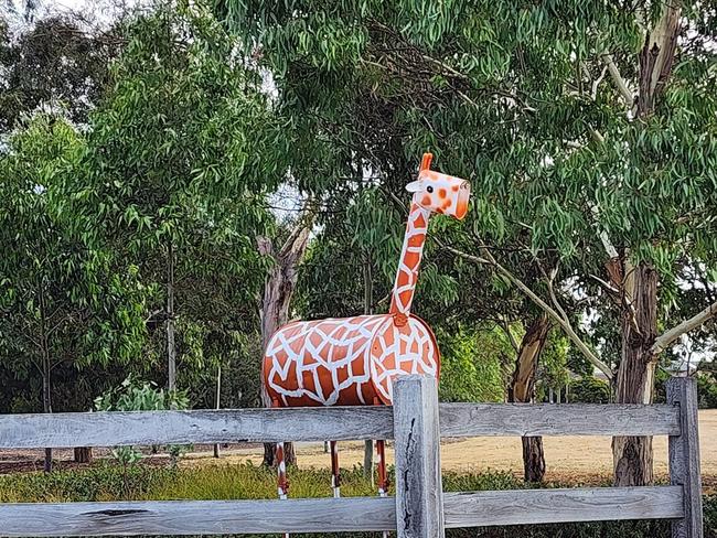 Jerry the Giraffe has been spotted around various locations in Werribee.Picture supplied.