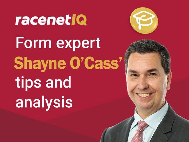 Racenet form analyst Shayne O'Cass.