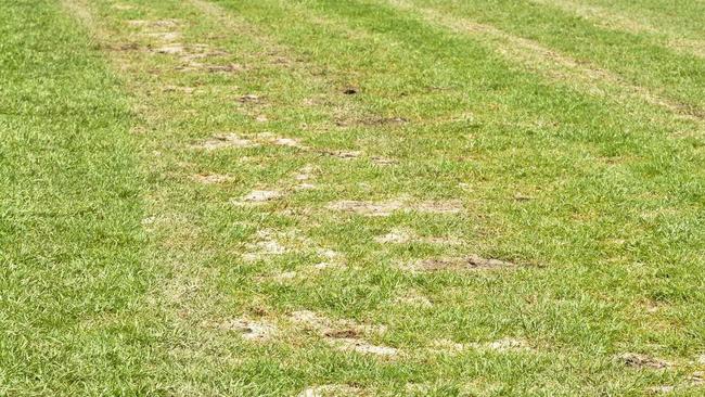 TRACK ISSUE: The area of concern after flooding on the Ipswich Turf Club racing surface. Picture: Cordell Richardson