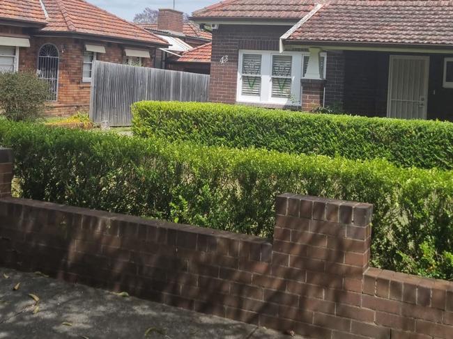 After The Sauce inquiry - lawn and hedge trimmed. Picture: Supplied