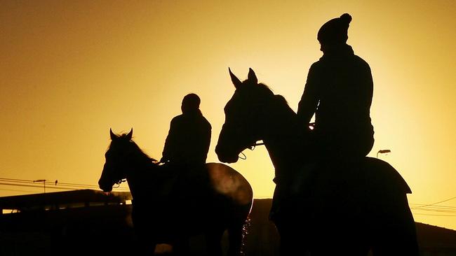 Cup fancy Jameka at Mordialloc Beach during Melbourne Cup preparations. Picture: Colleen Petch